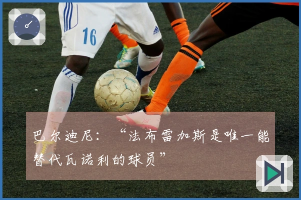 巴尔迪尼：“法布雷加斯是唯一能替代瓦诺利的球员”
